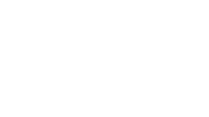 Screen Professional Hair Care logo